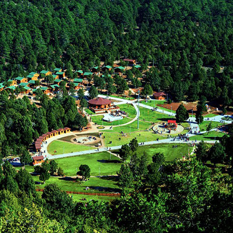 Bağbaşı Yaylası
